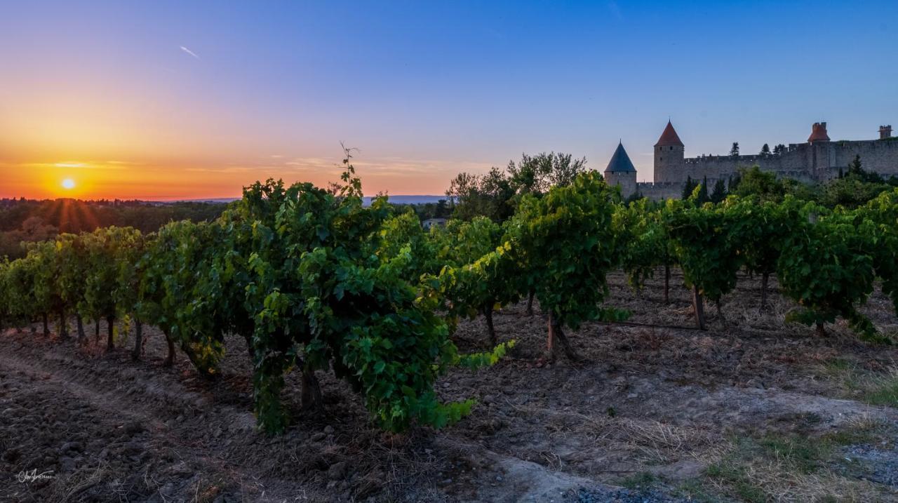 Cerise Carcassonne Sud Hotel Bagian luar foto
