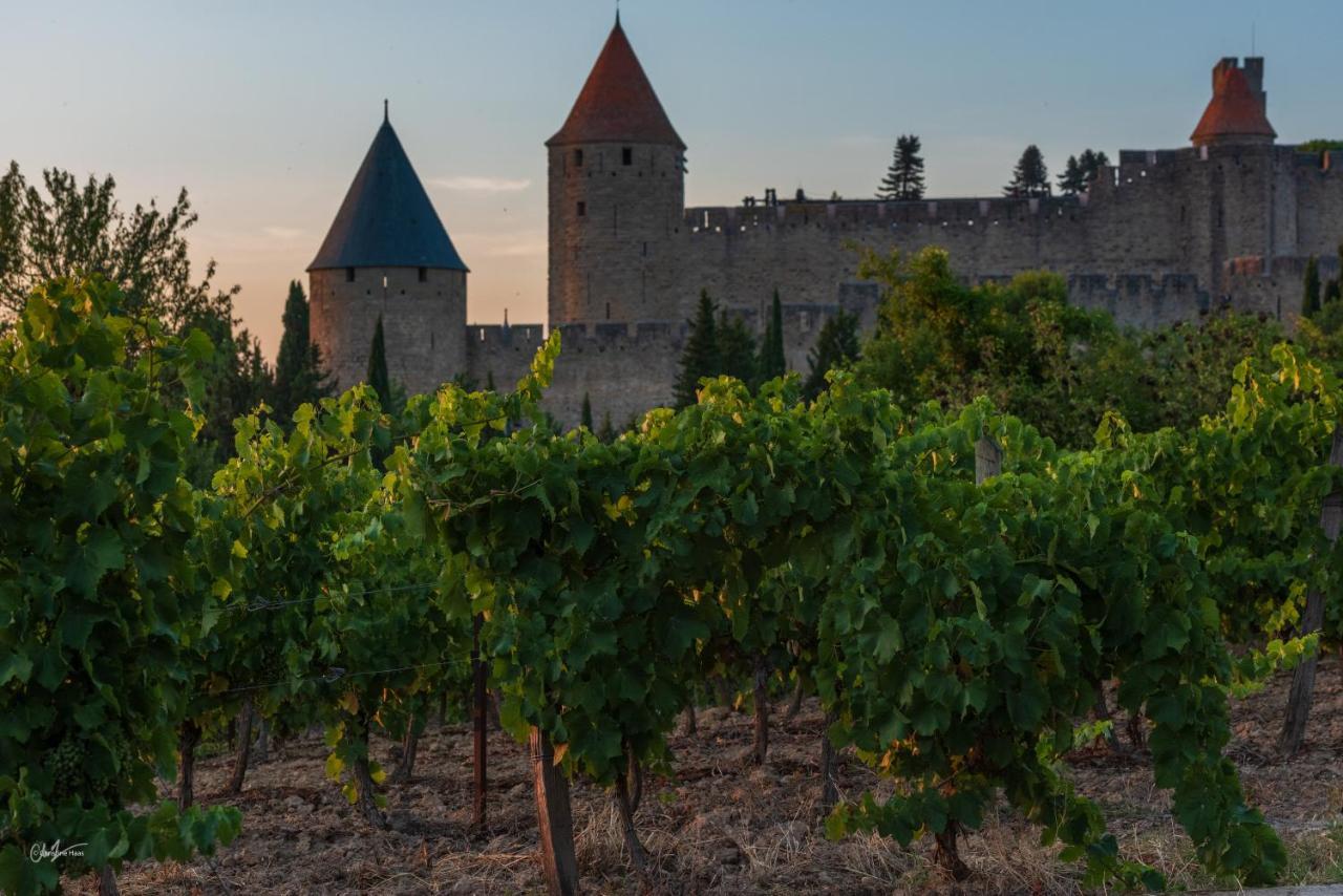 Cerise Carcassonne Sud Hotel Bagian luar foto